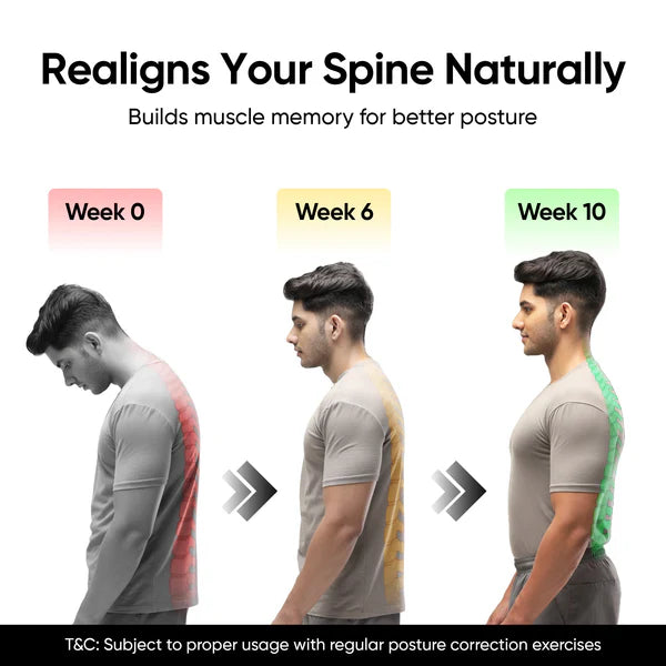 Posture Corrector Free Size Designed to provide exceptional Back Straight And Shoulder Support Belt